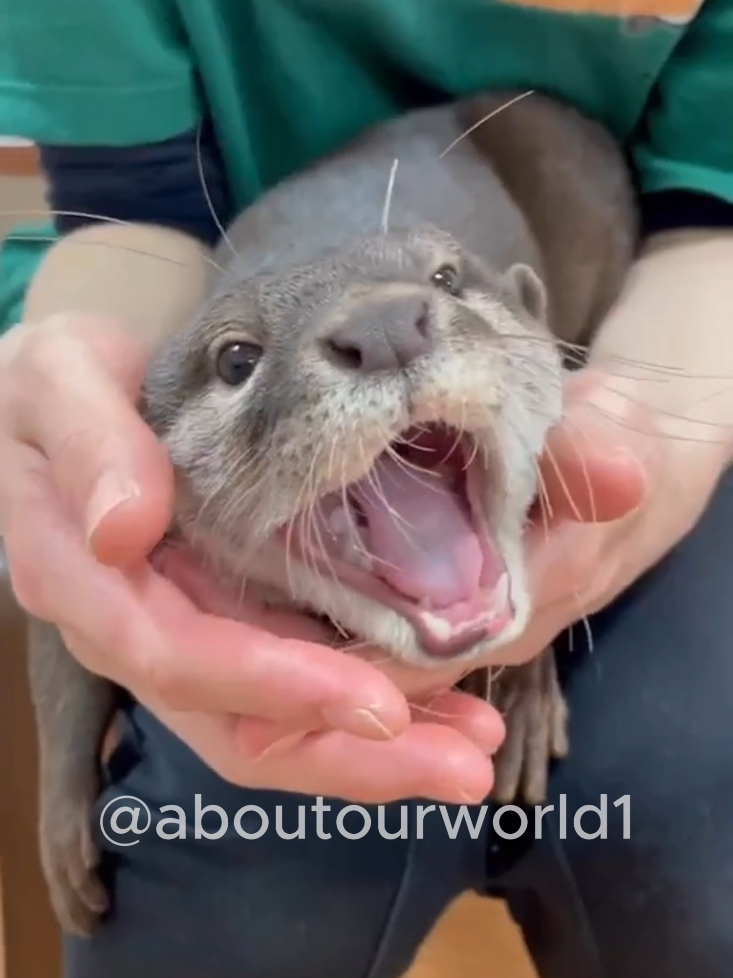 @aboutourworld1