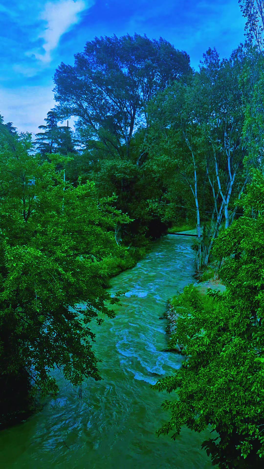 @Samil Memmedov