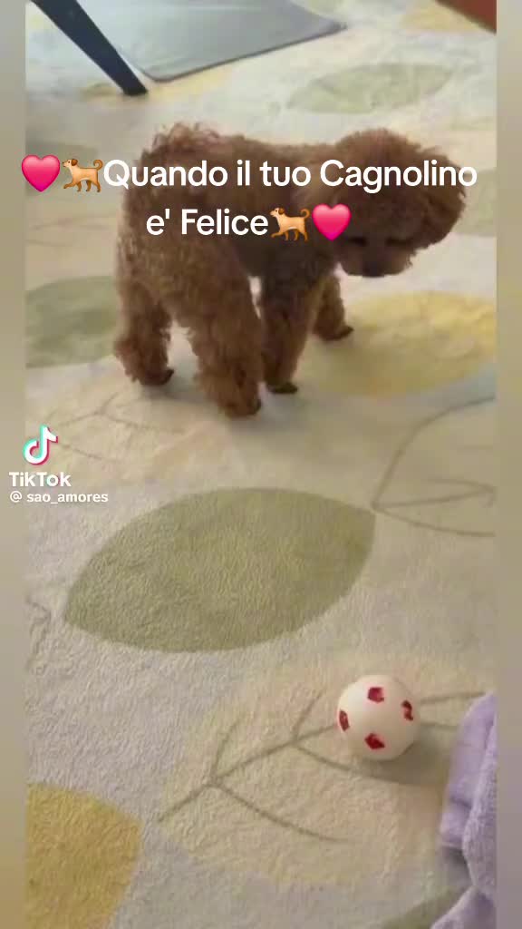 @angelicadejame
