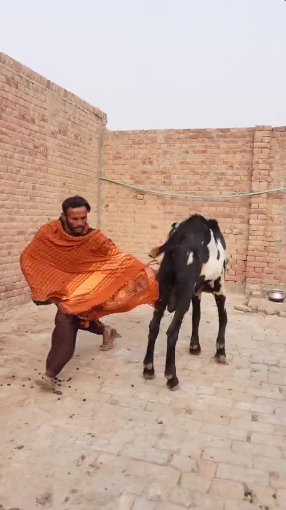 @Sufyan Gujjar