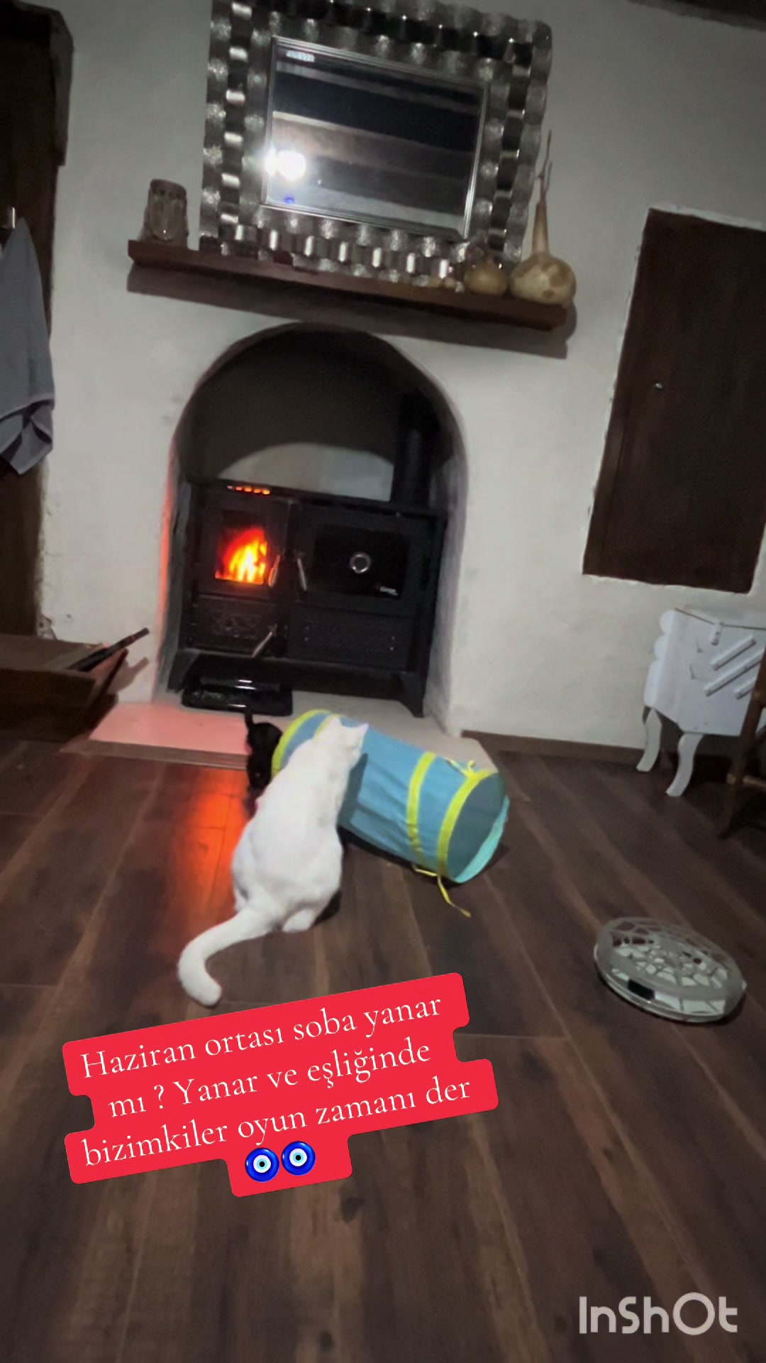 @Çiçinin köy evi