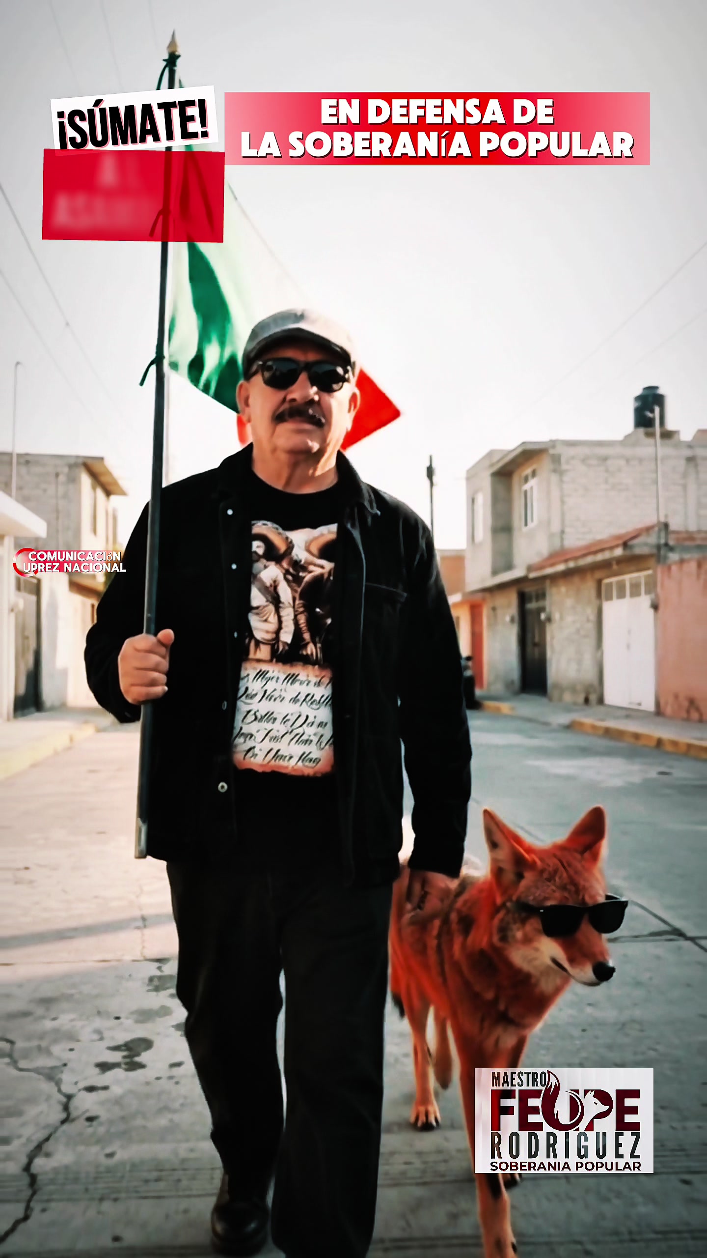@FELIPE RODRÍGUEZ