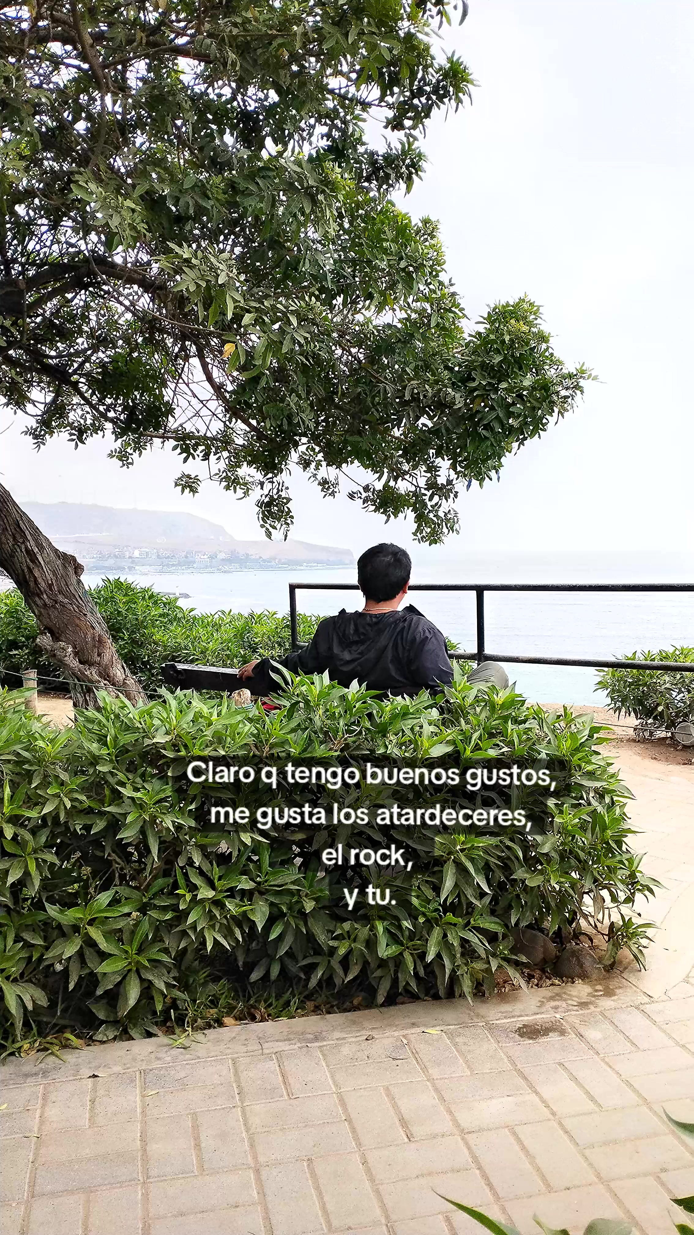 @Jorge Aloja