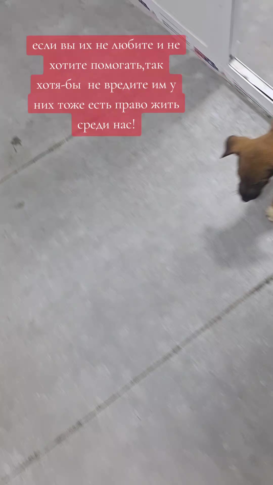 @S.R.