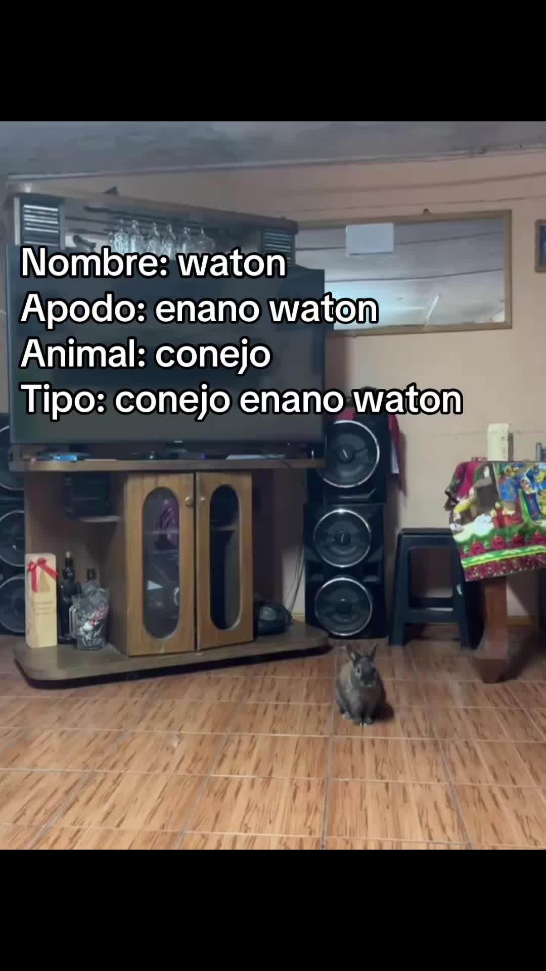 @:3