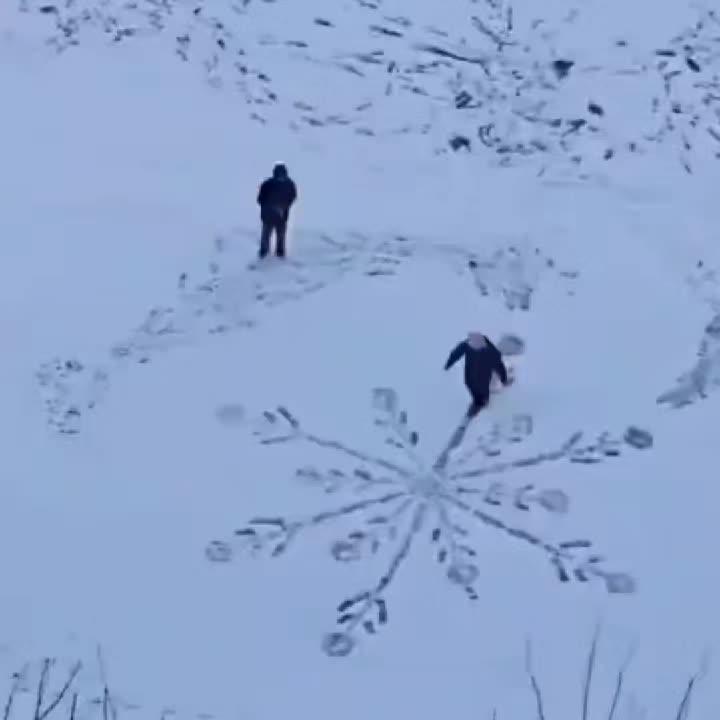 @Froyzen