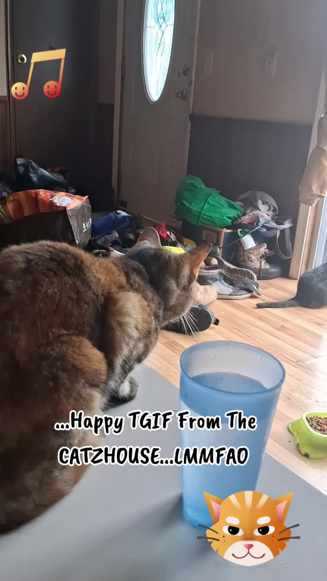 @Booh Hovey crazycatlady3