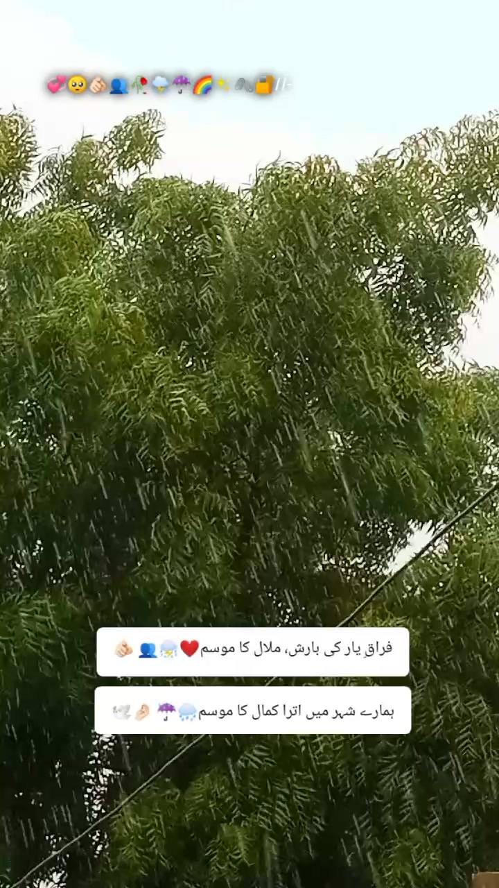 @🌿 یکطرفہ مُحبت 🥺❤️&zwj;🩹🥀