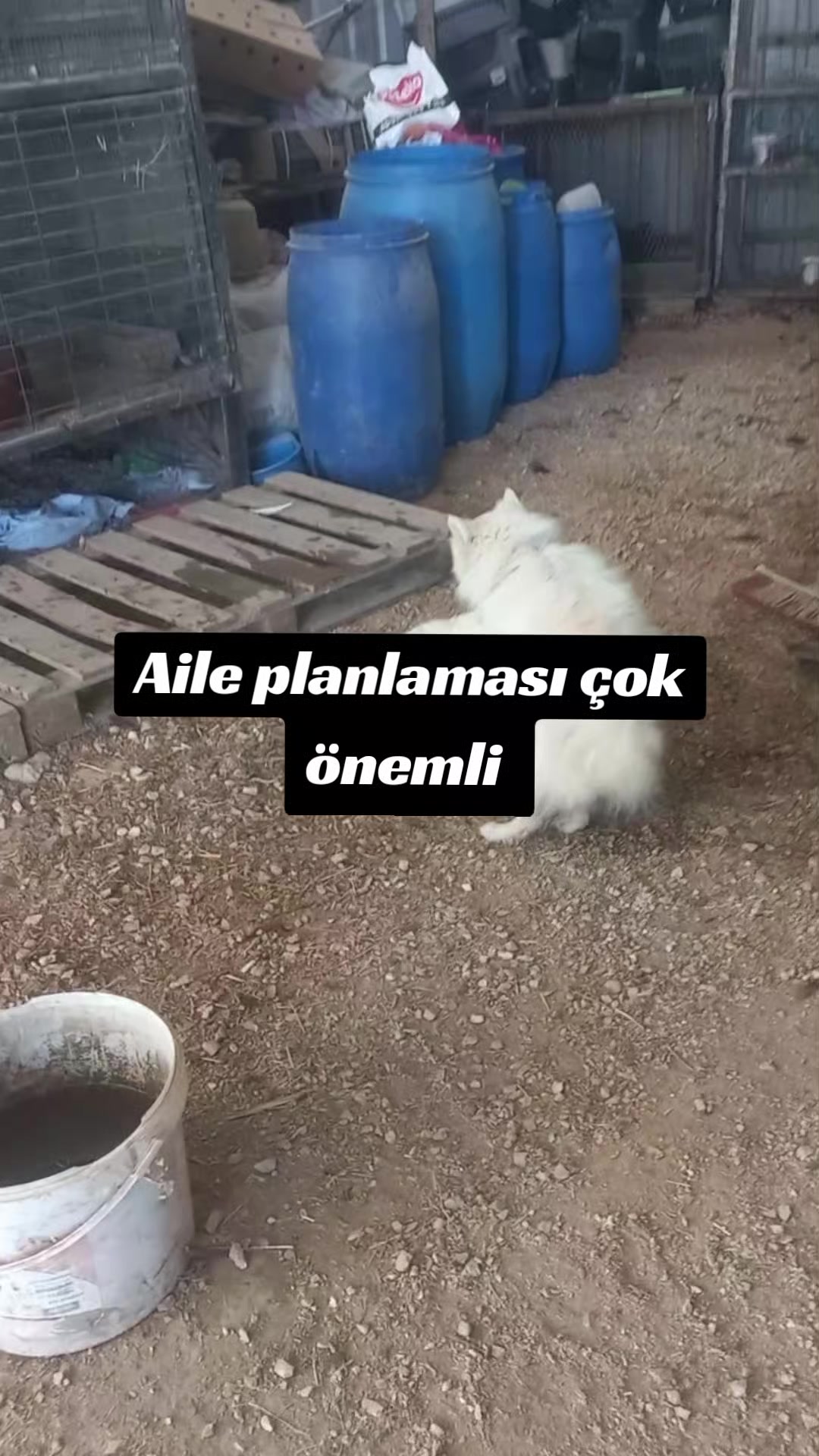@kamil