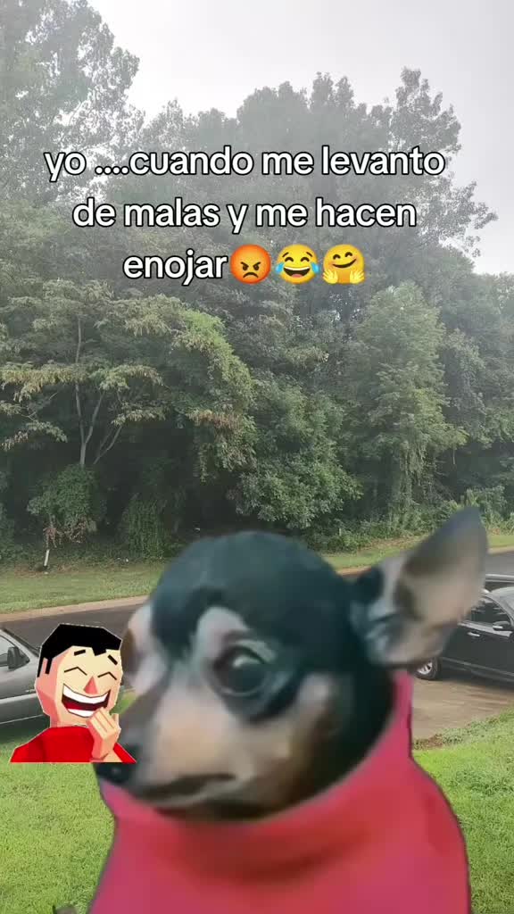 @Pincheloca🤗