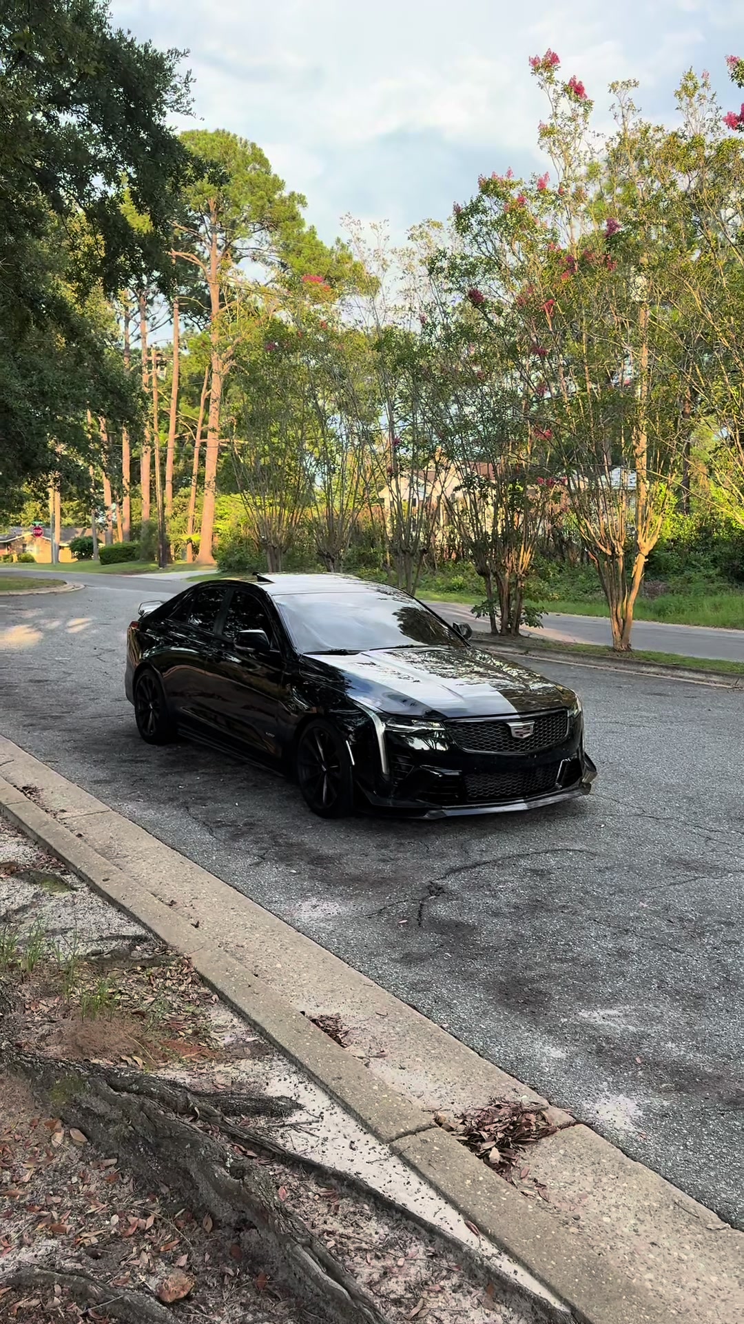 @blackoutt.v 🦇