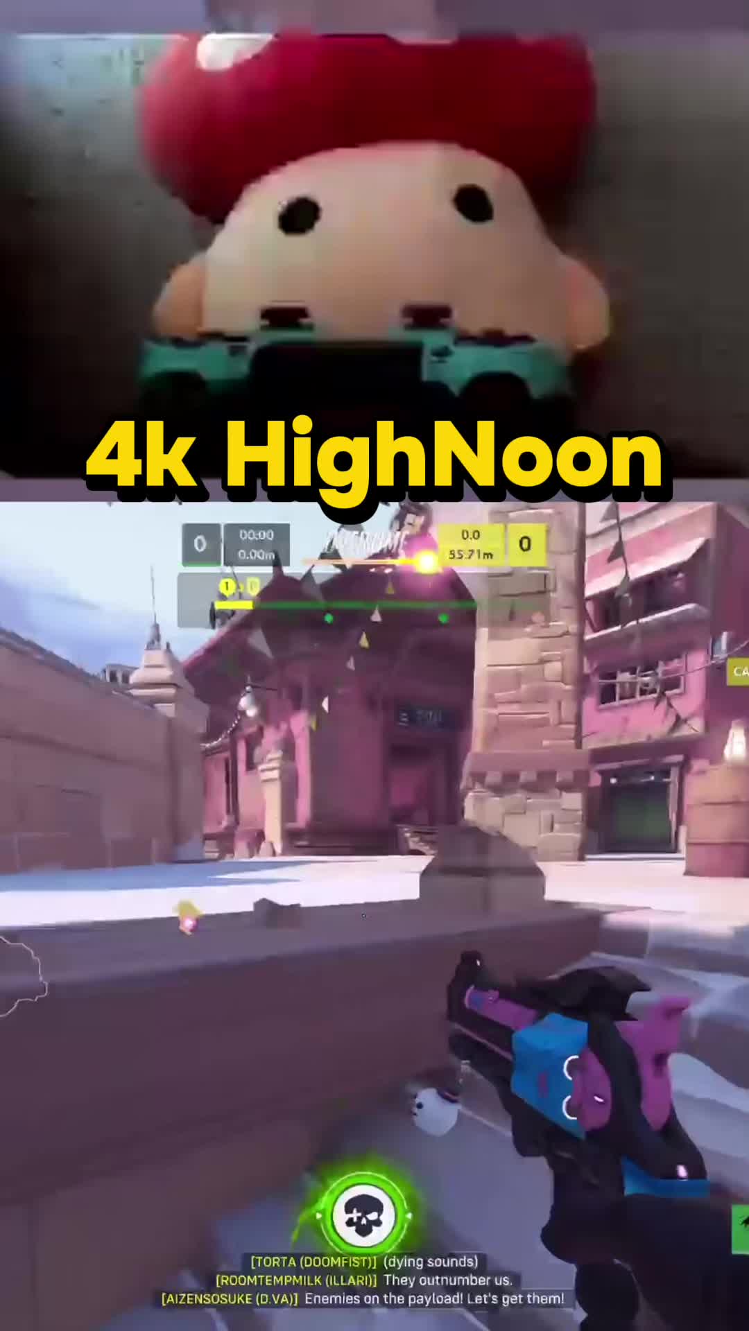 @drmushroom4