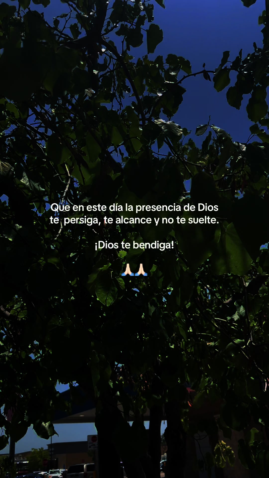 @thaniaSayegh💫frases