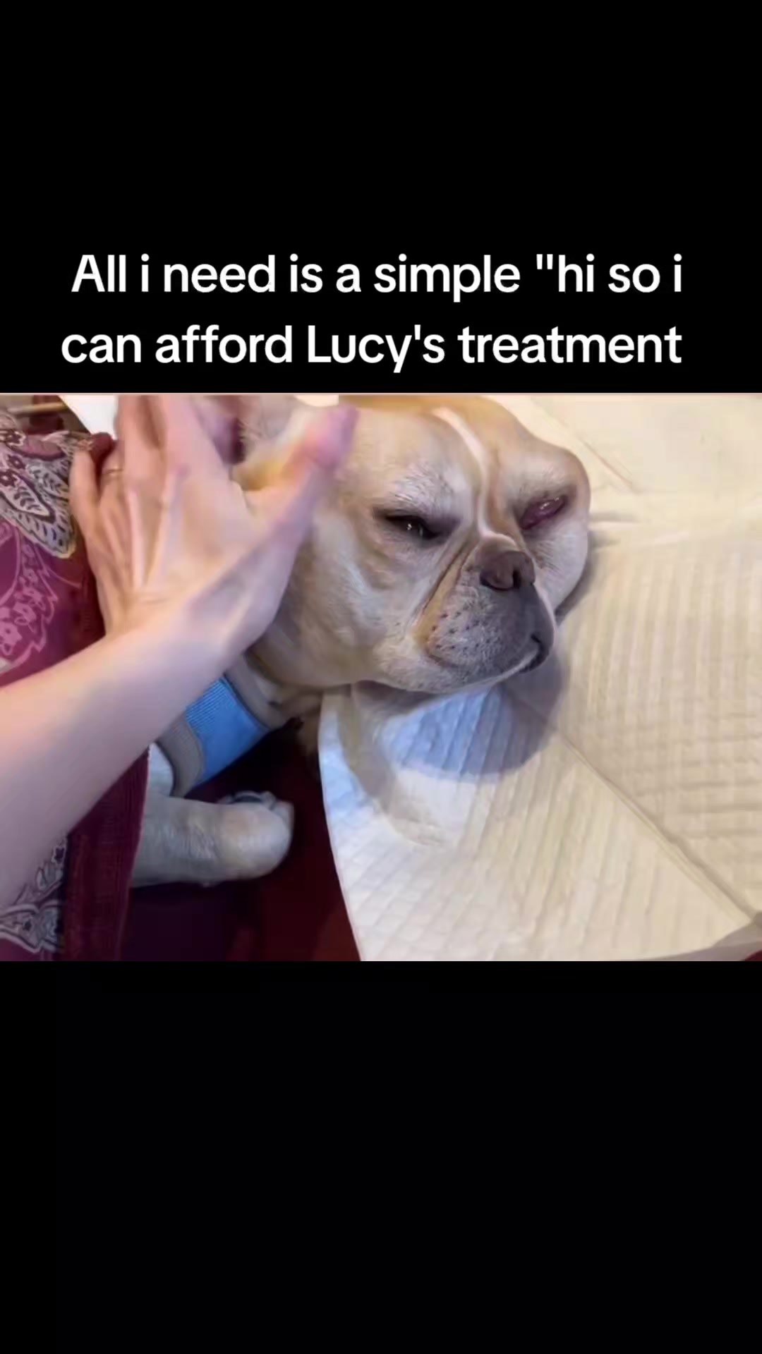 @CancerFighterPup