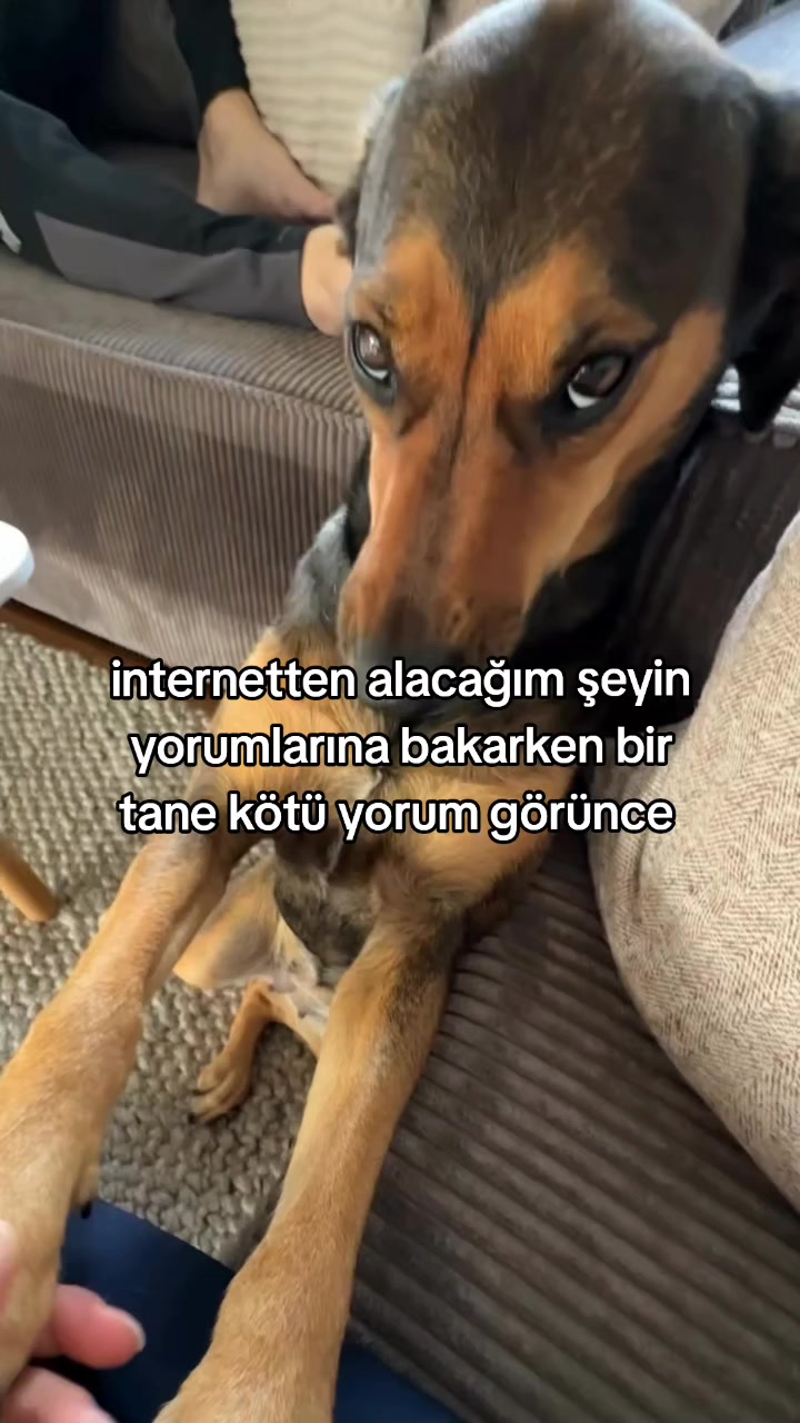 @rolland