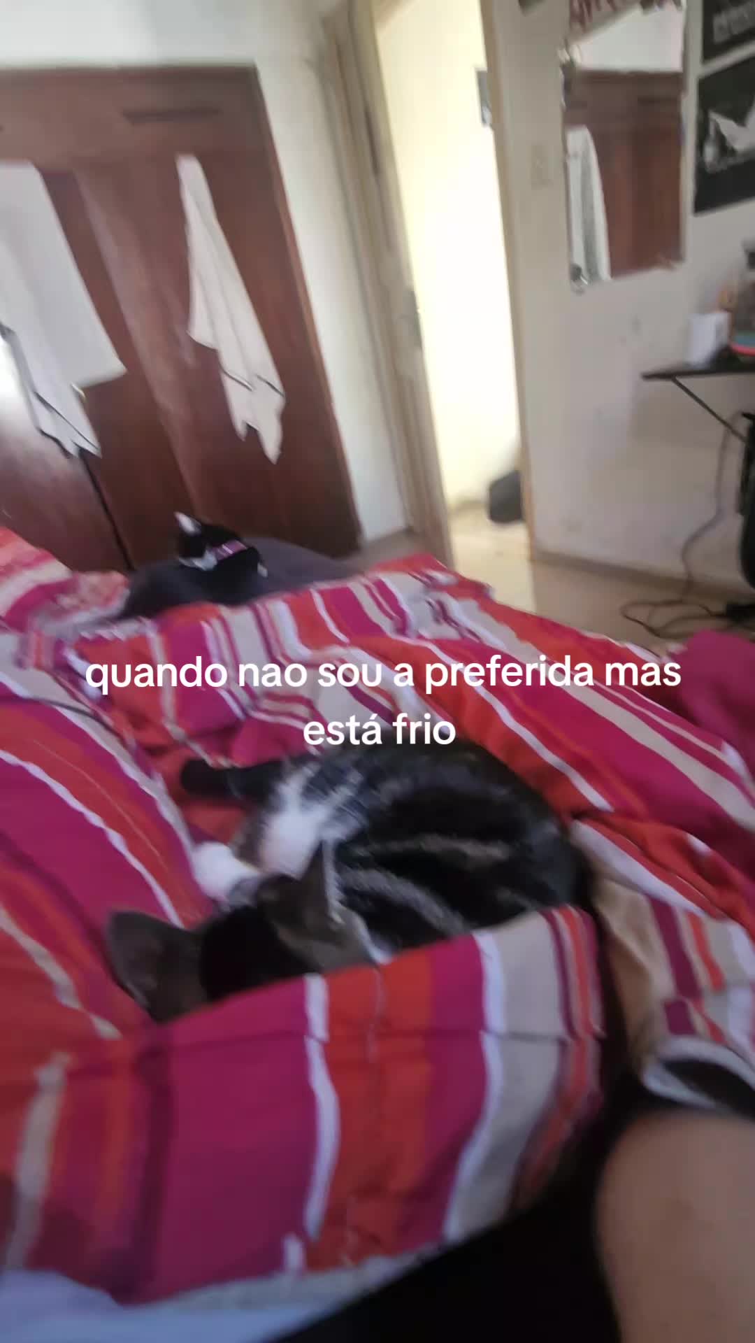 @lore