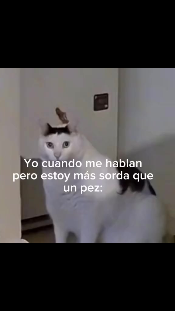 @Memes Deapeso