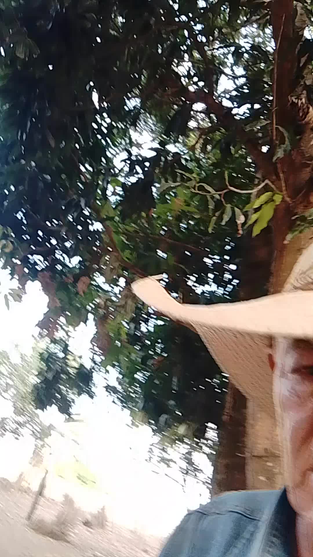 @Rodrigues Costa