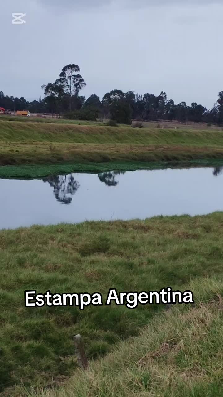 @luisomarfuentesve