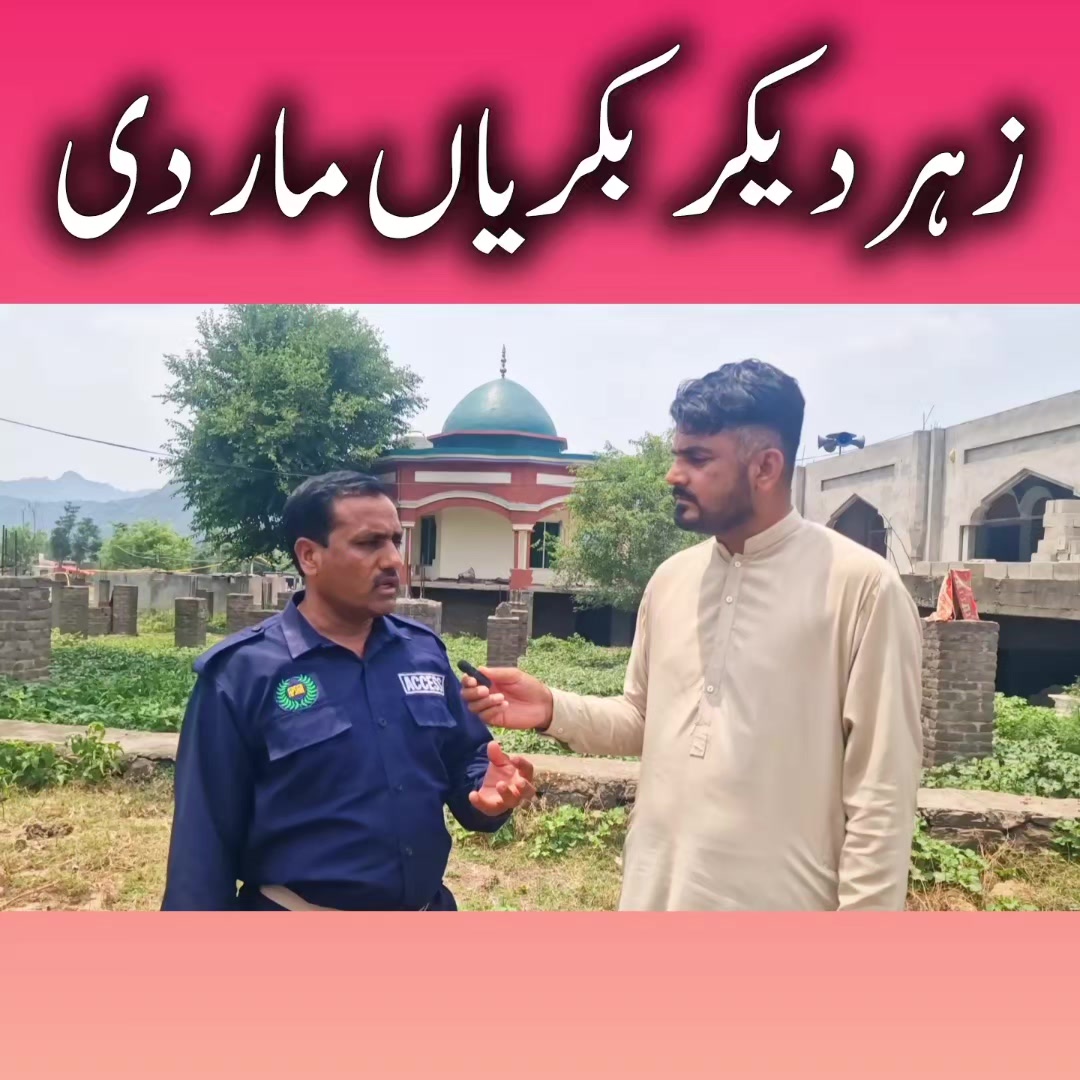 @shuJaa_Bhai
