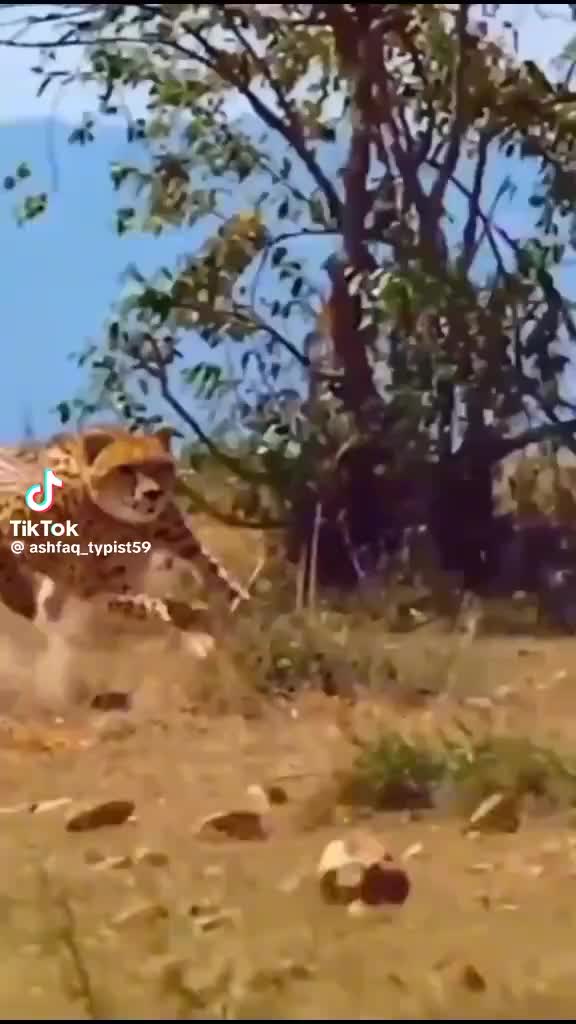 @๐๐๐๐๐๐