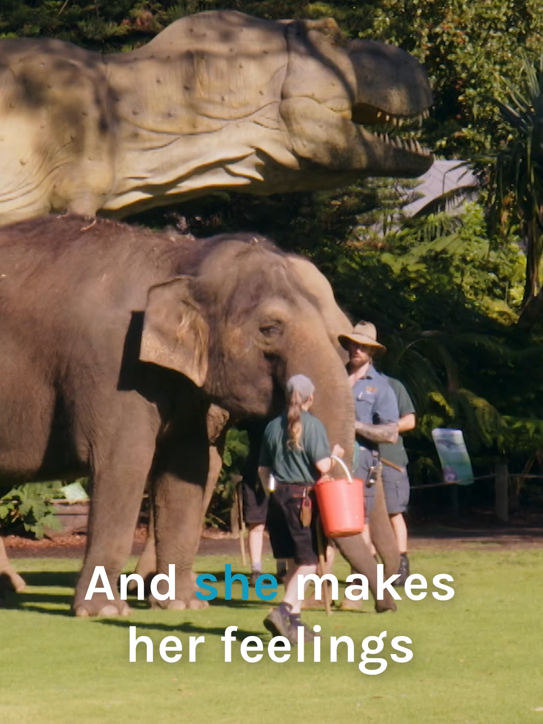 @Bondi Vet