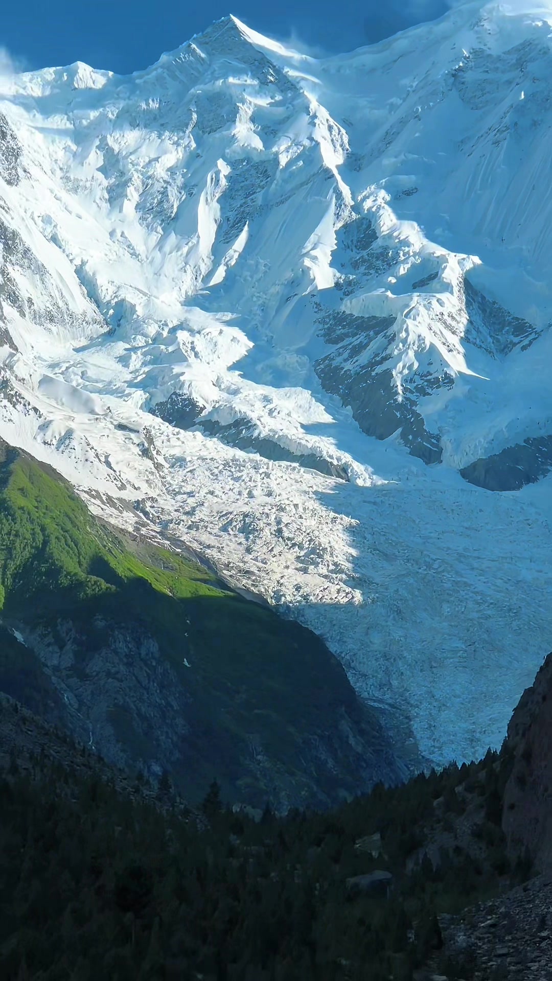 @ajaliwajid5