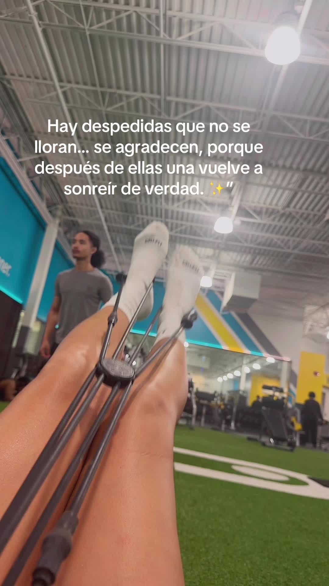 @adysuarez1818