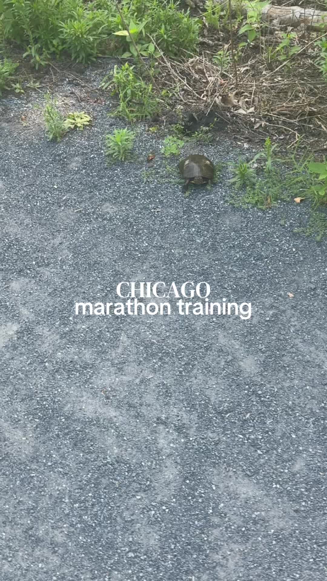 @jolie 🦦✨🫧