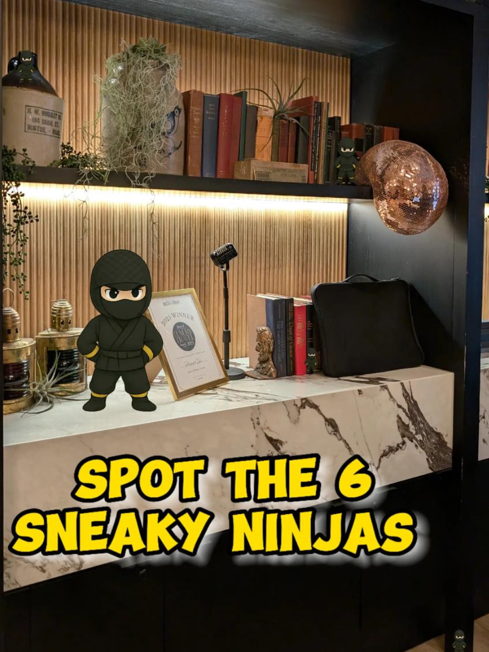 @SpotTheSneakyNinja