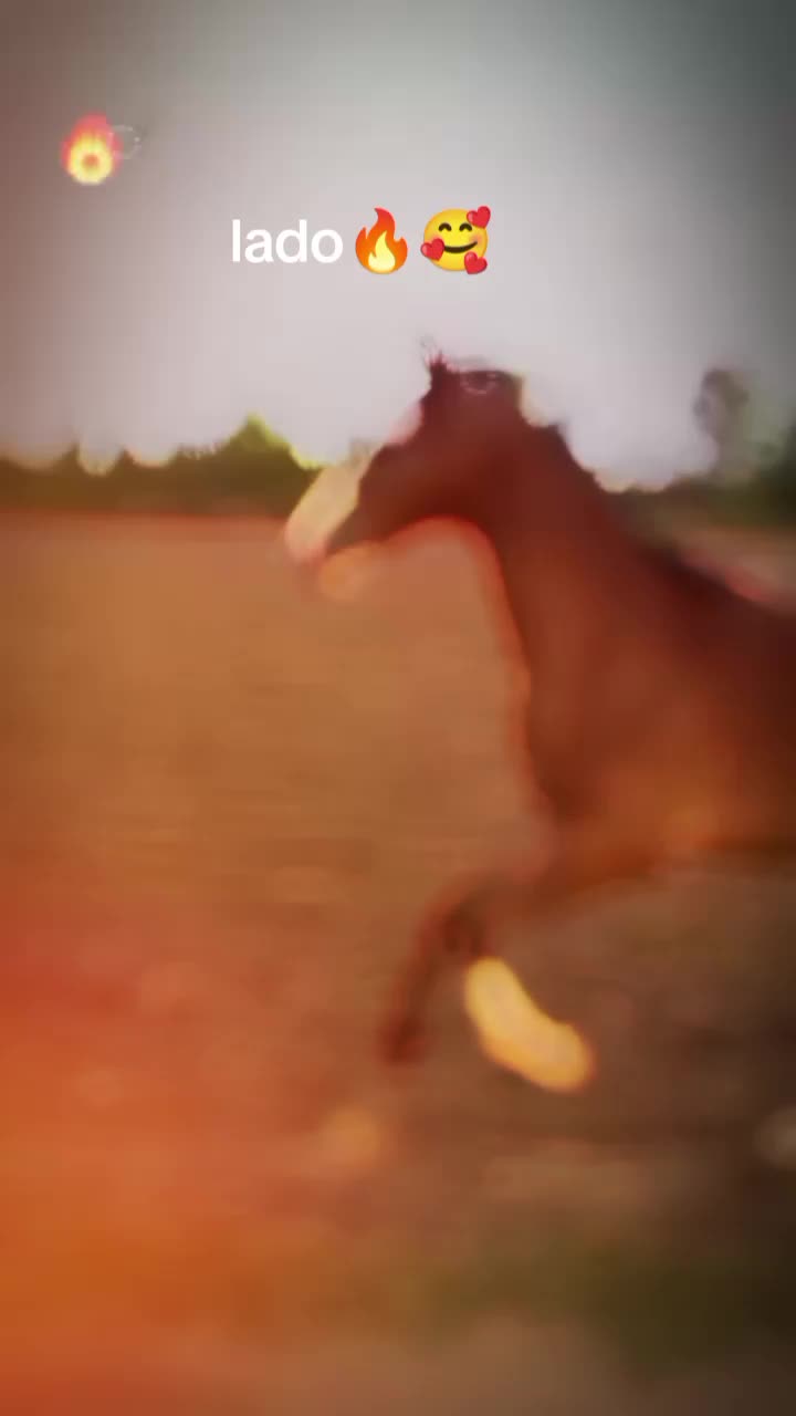 @Màlík Hàsñåt Jàïsåk❣️