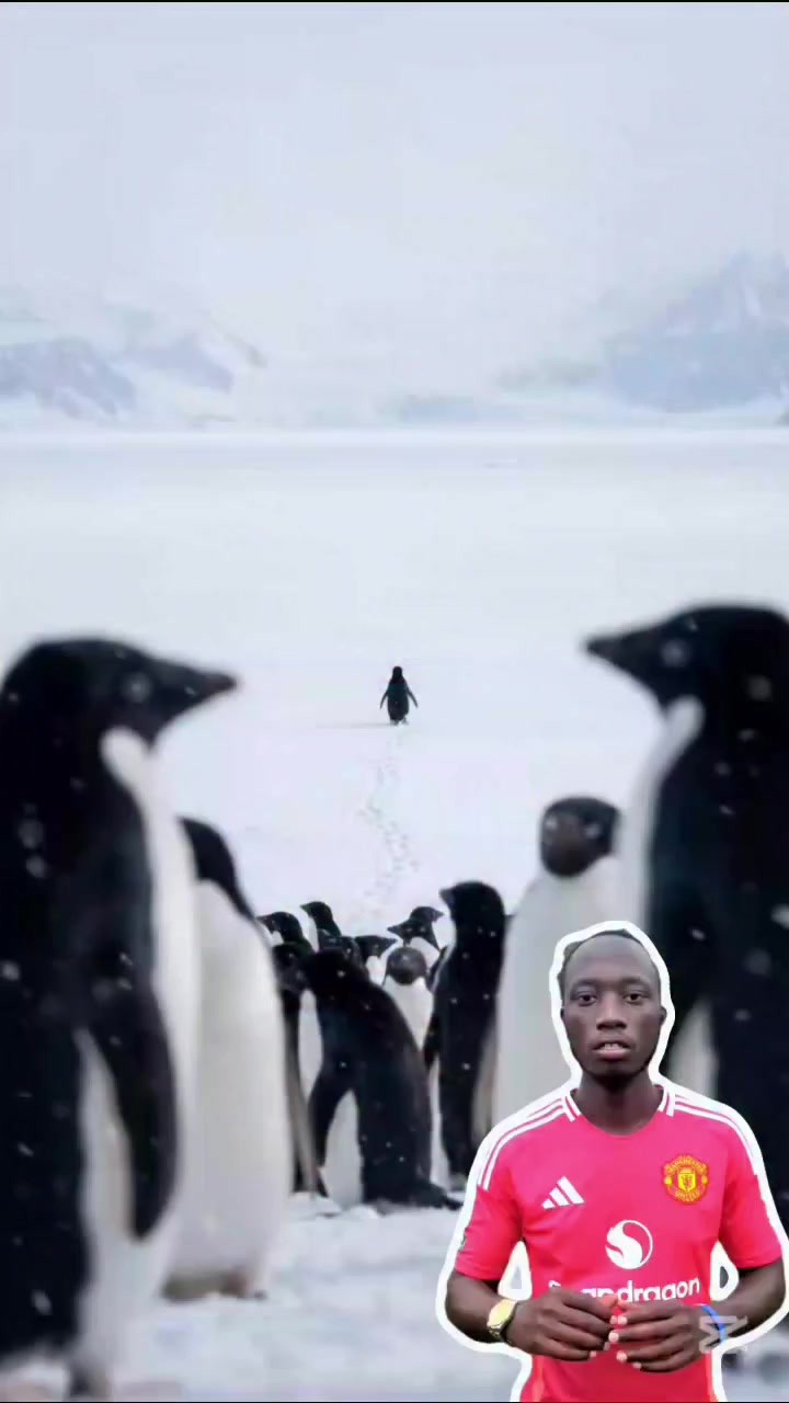 @Jean Pierre NDAGIJIMANA