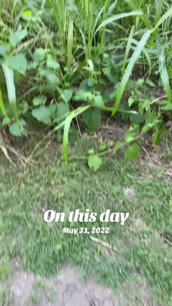 @Chrisdeza08