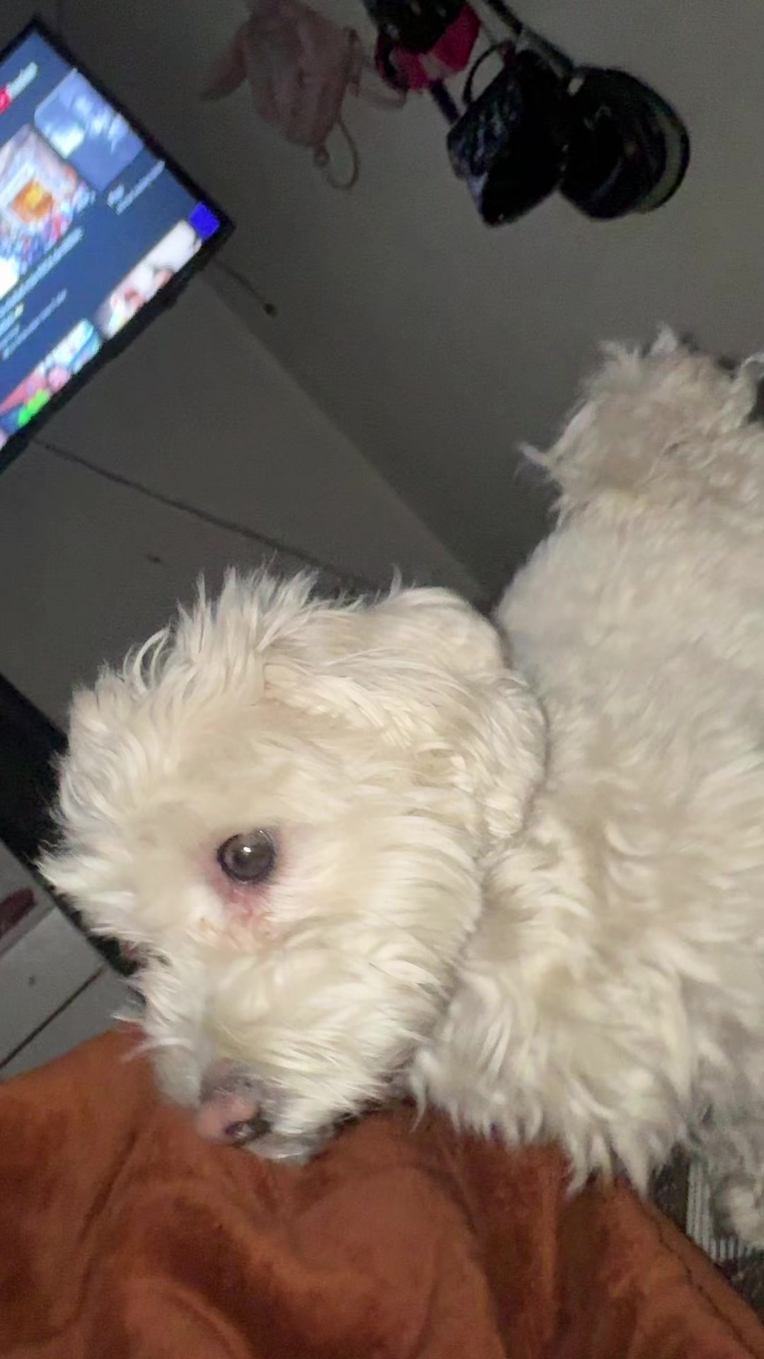 @dayana_beltran02