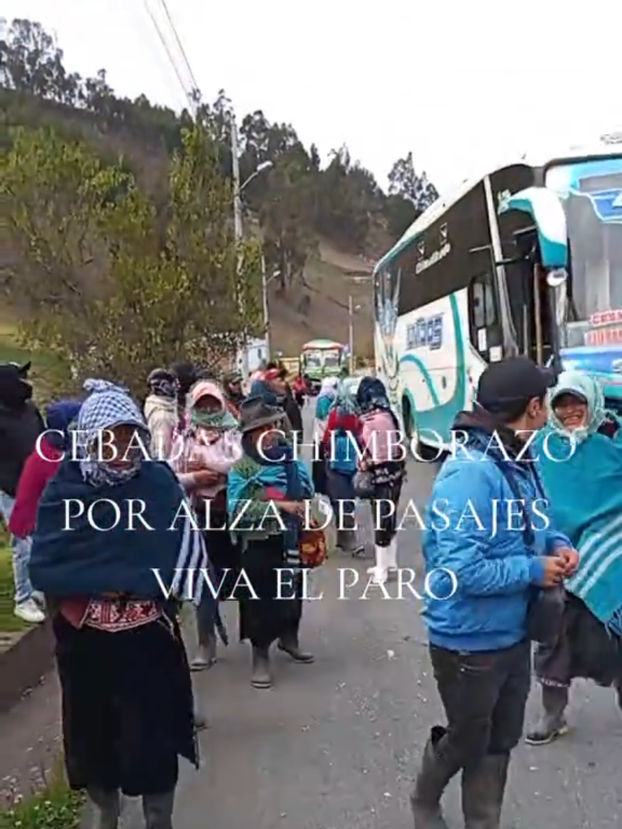 @Luis Gehrmán GV