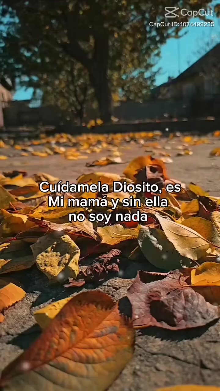 @Noelia