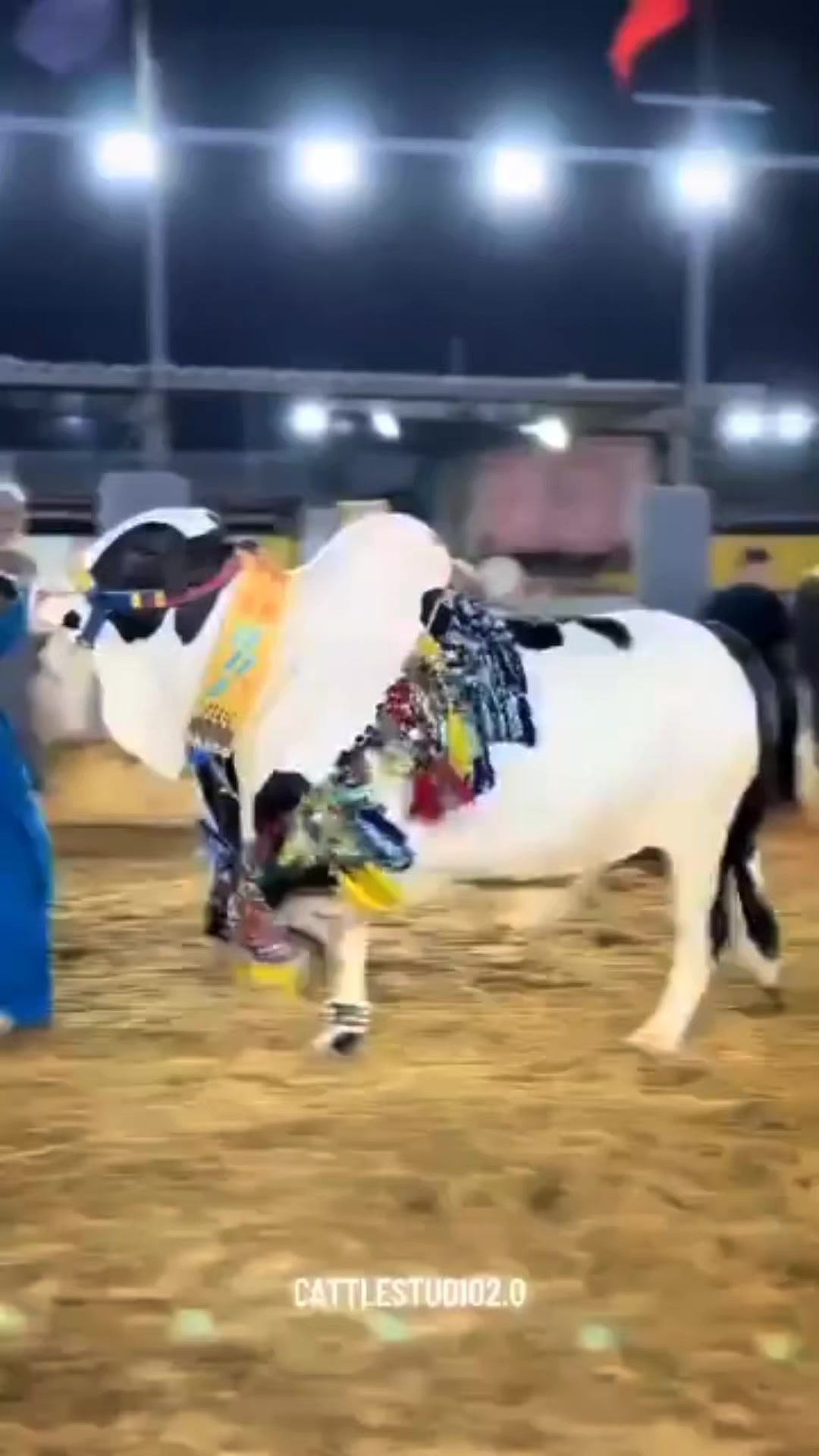 @Sameer._.Raza🤣