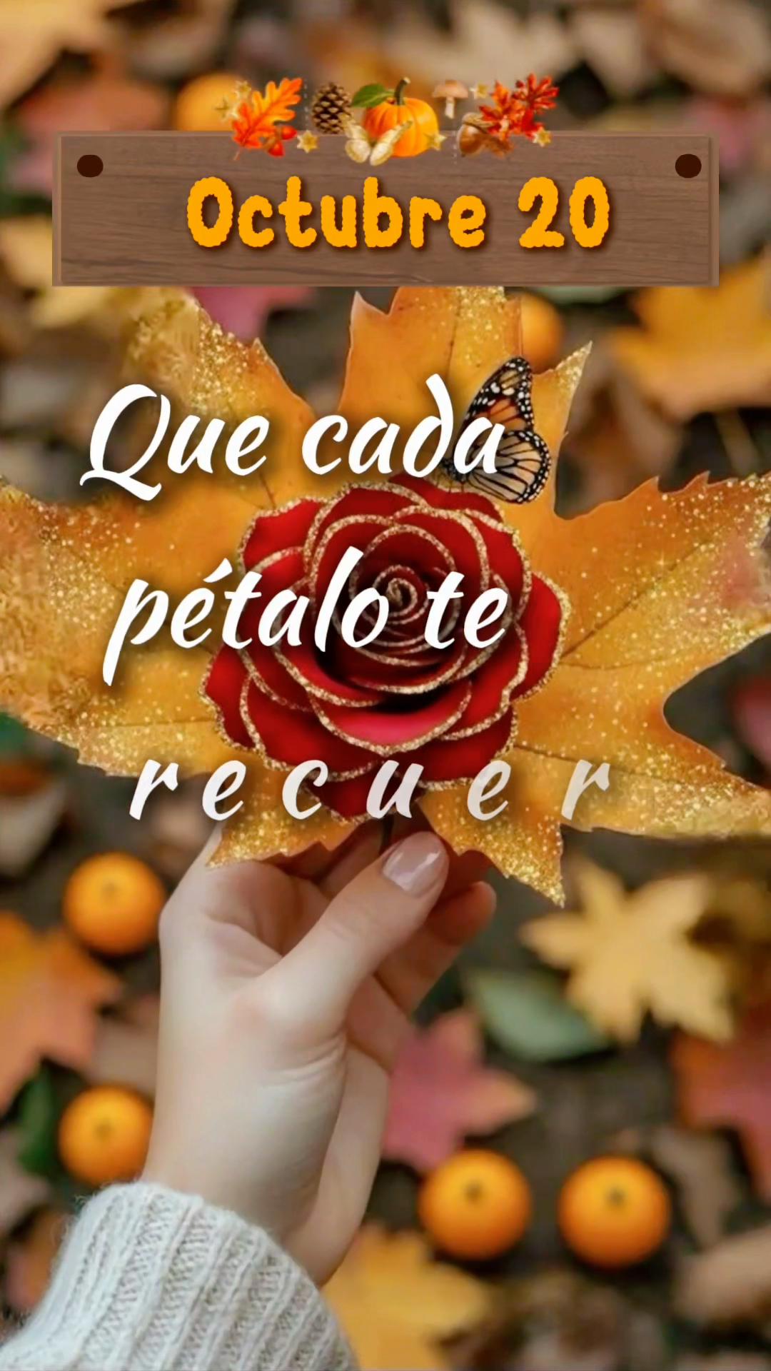 @Rsand
