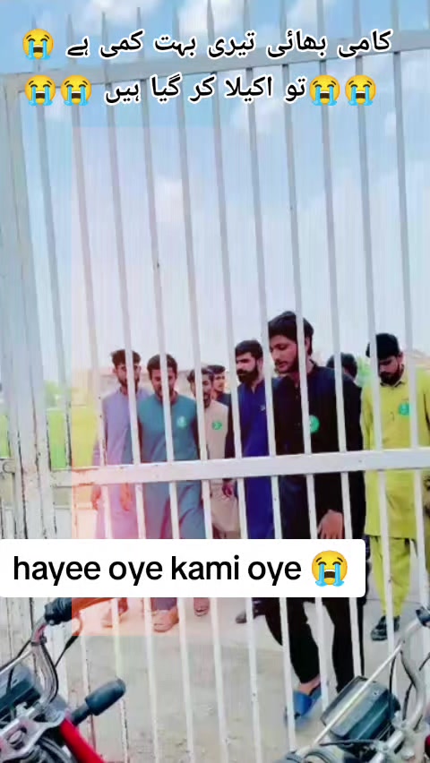 @🚩 MSF degree college vehari🚩