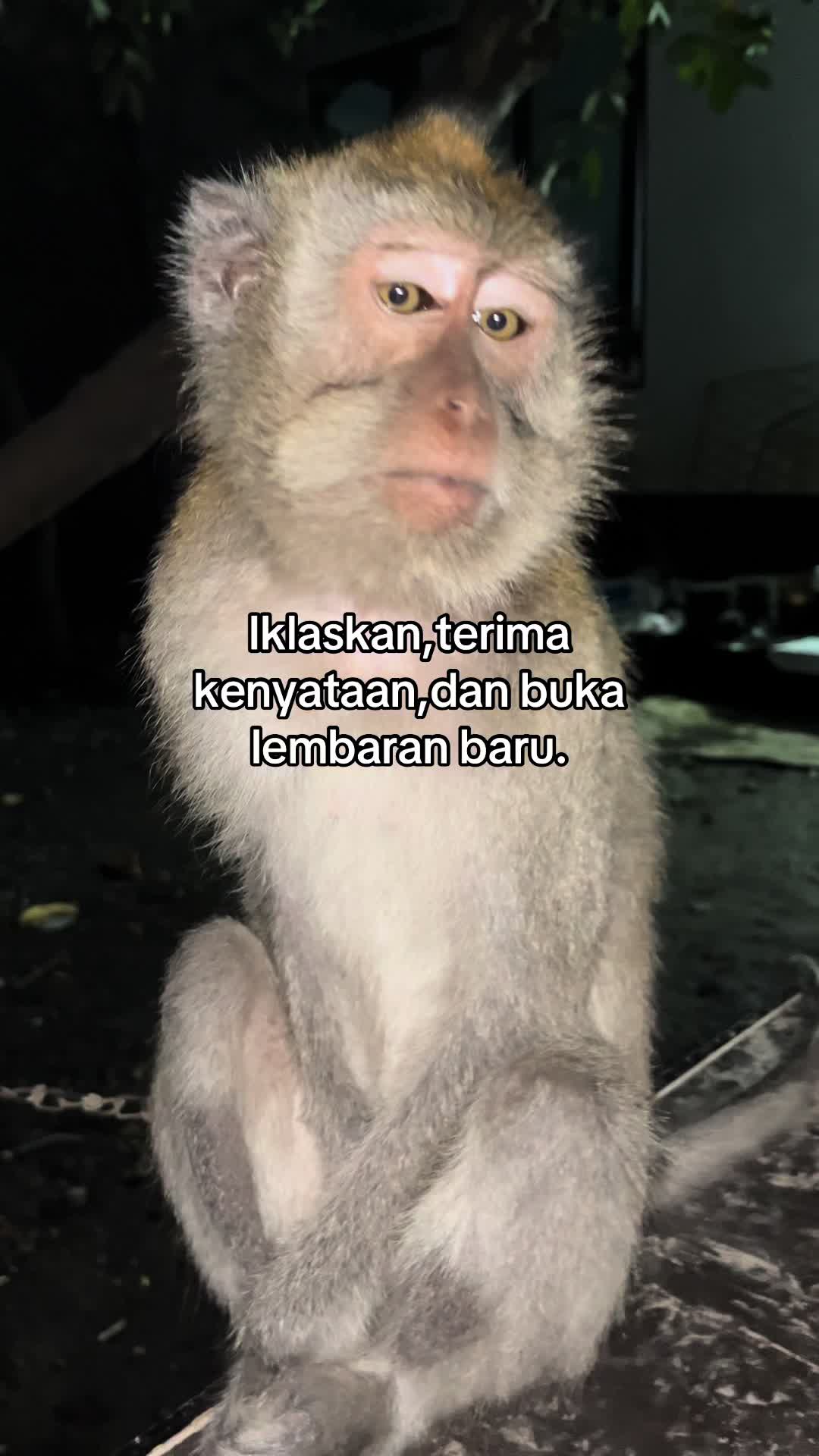 @Nyunyut
