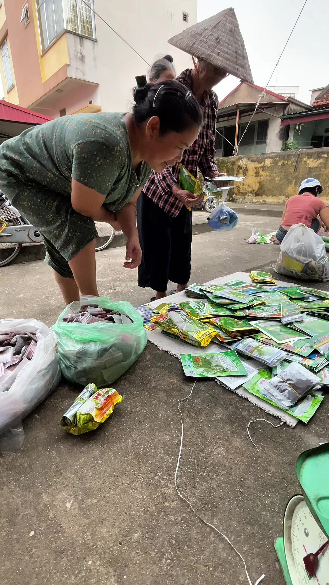 @Bán hạt giống