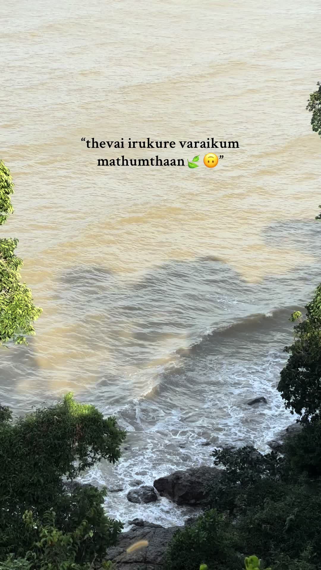 @𝓥.🍷