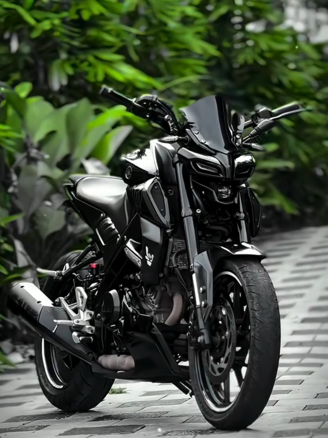 @MT15 🖤😍