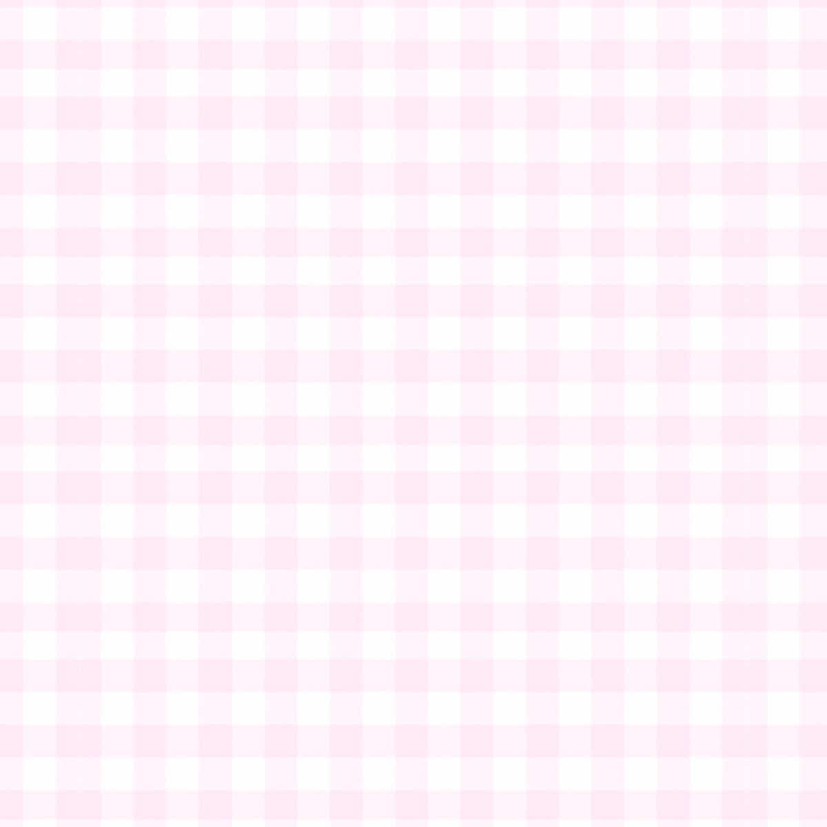 @꒰ა୨୧໒꒱₊˚𝒌𝒊𝒕𝒕𝒆𝒏˚₊ฅ^•ﻌ•^ฅ