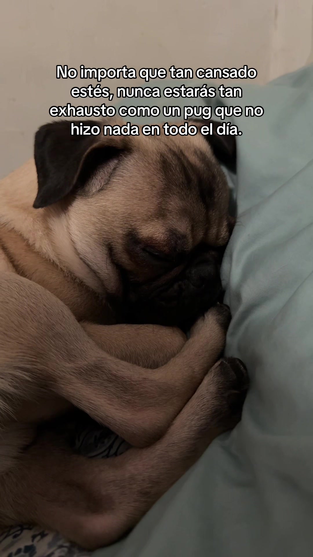 @Cristy 🦦