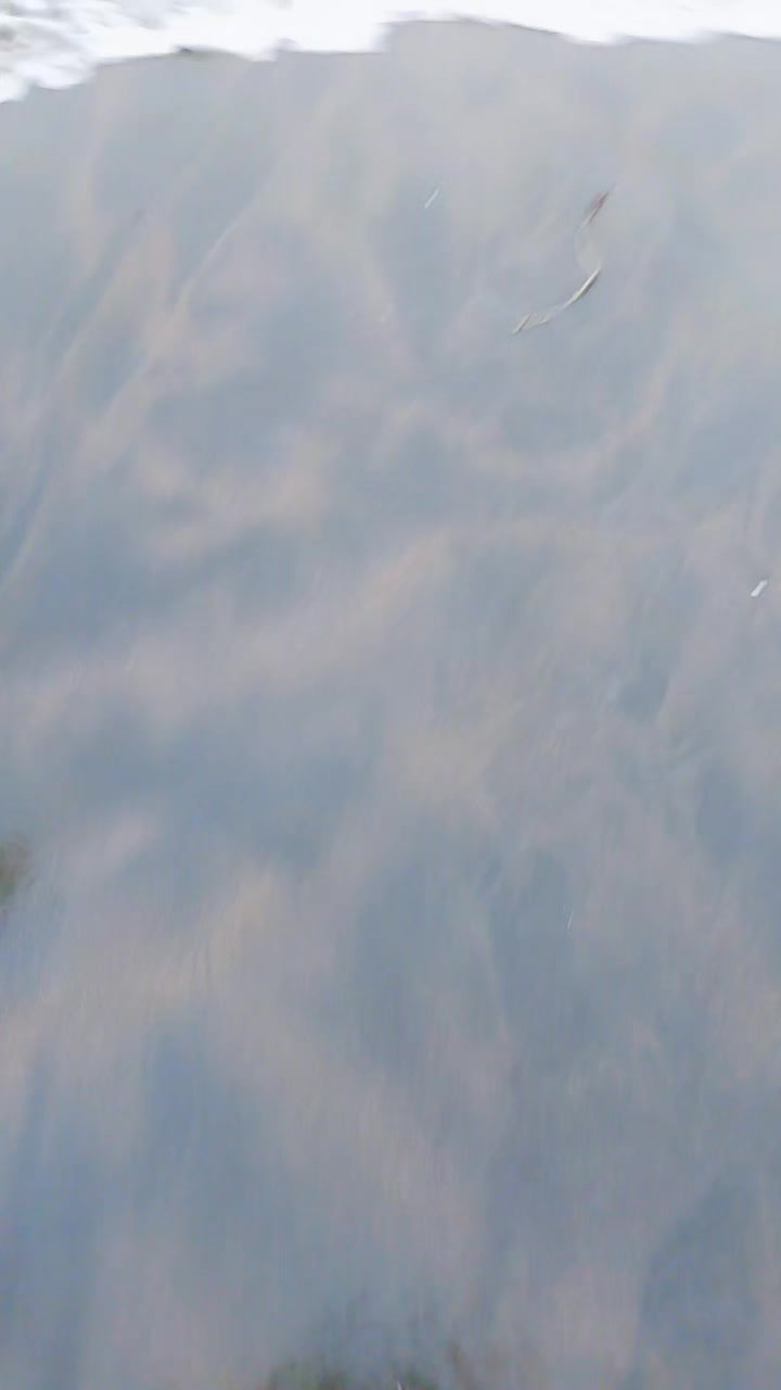 @আলিফ বিন