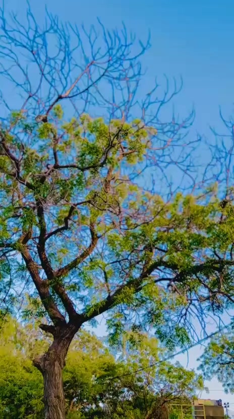 @𝘋𝘢𝘯𝘨𝘦𝘳 𝘢𝘥𝘮𝘪𝘯333🇰🇳