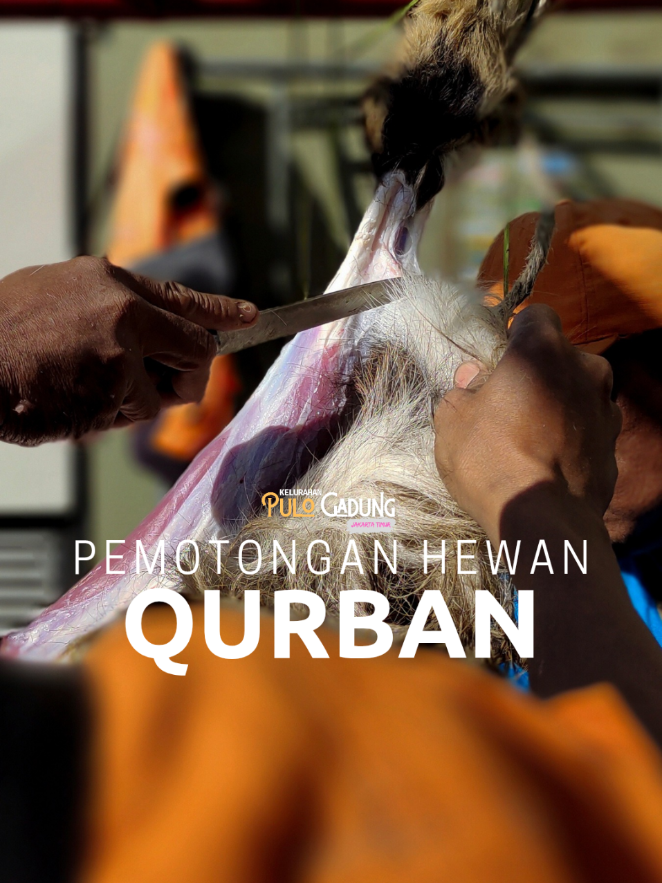 @Kelurahan Pulo Gadung