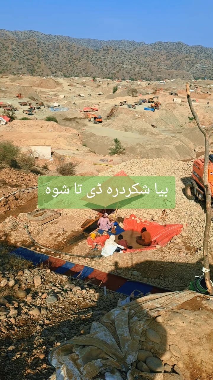 @Gold Minning Killer