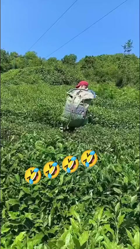 @KorKut_28